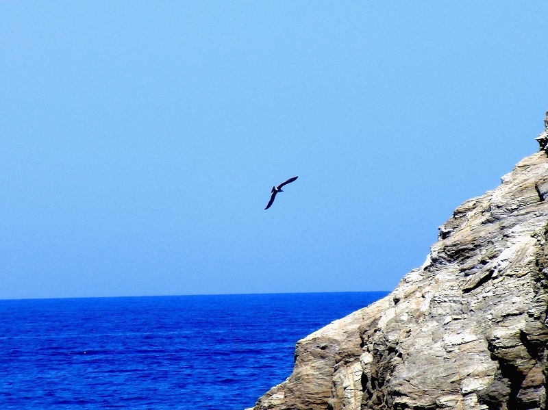 κέρδος